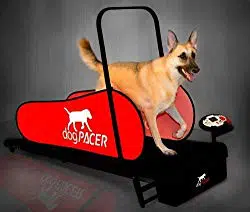 dogPACER Folding Dog Fitness Treadmill