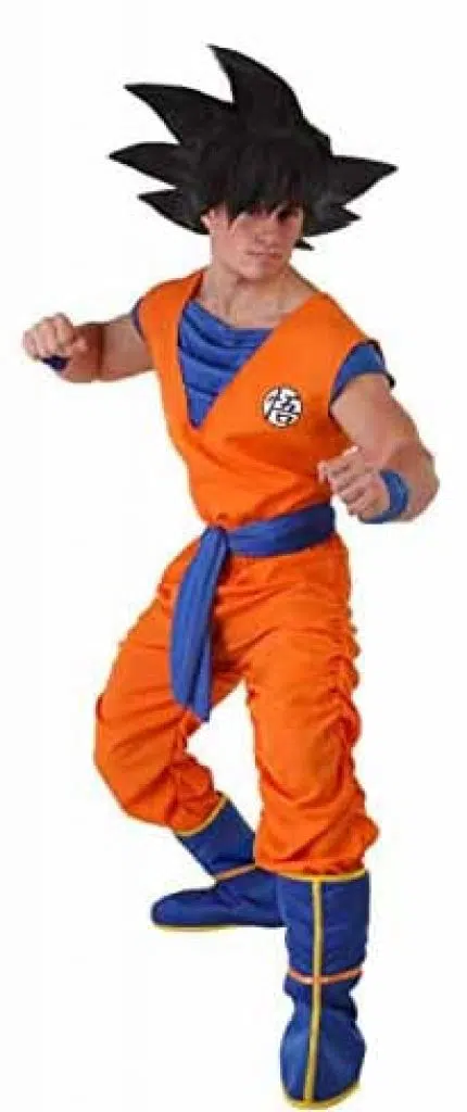 Goku's Costume