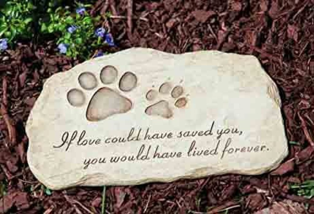 Paw Print on Stepping Stone