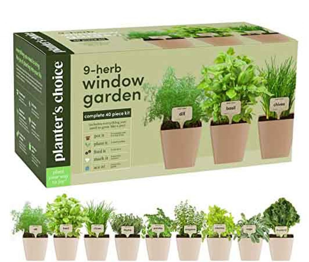 Garden grow kit