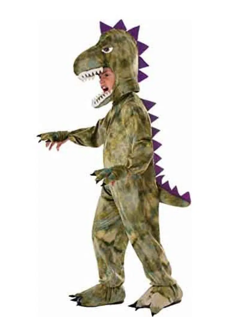 Kids' Dinosaur Costume