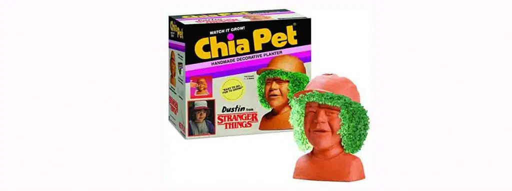 Dustin Chia Pet