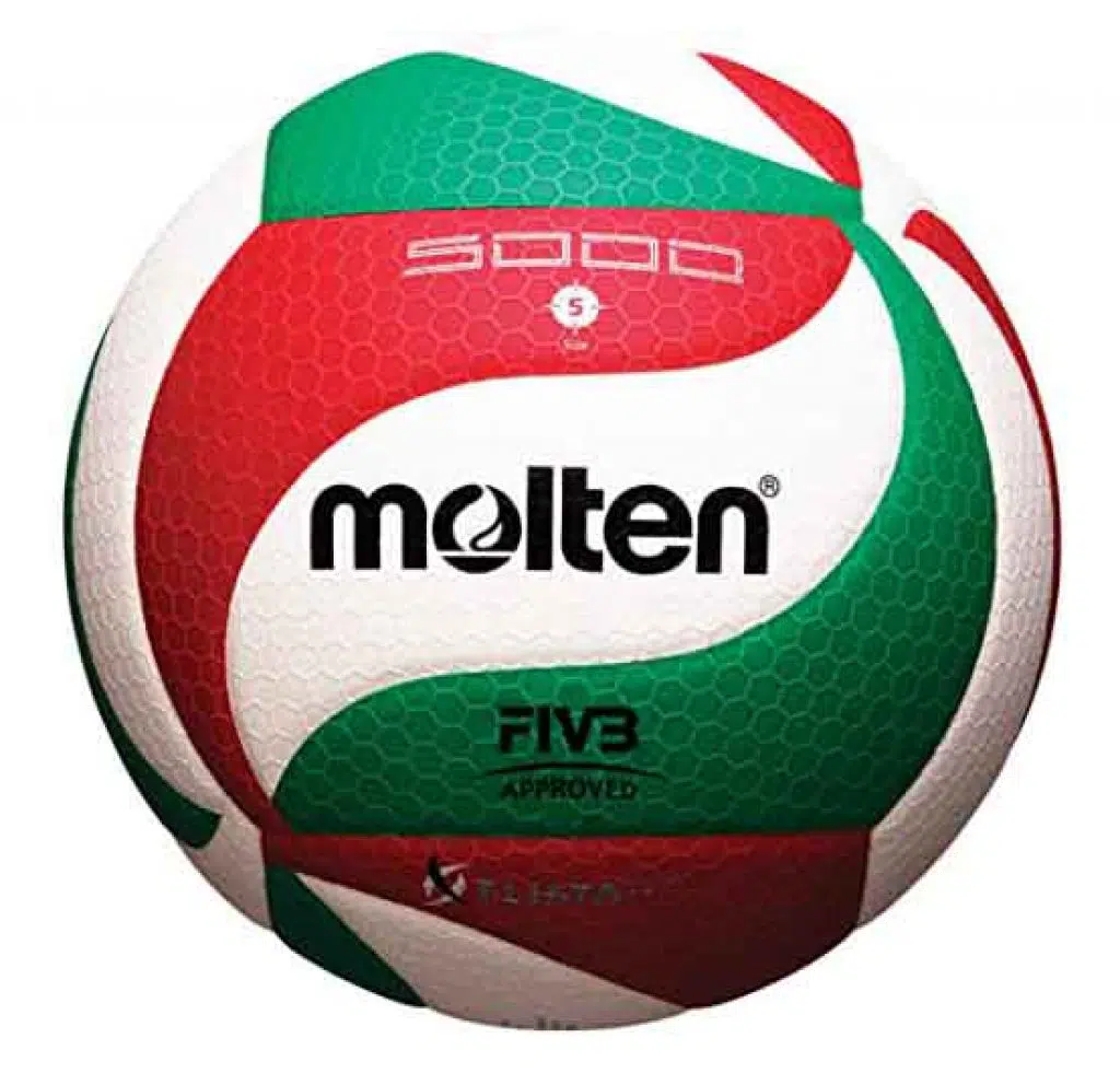 Molten Volleyball