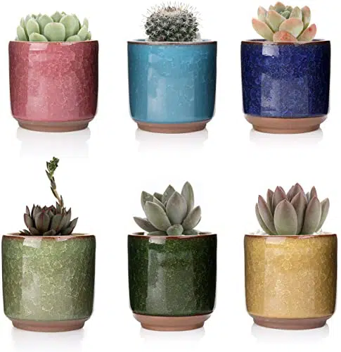 Set of 6 Ceramic Pots