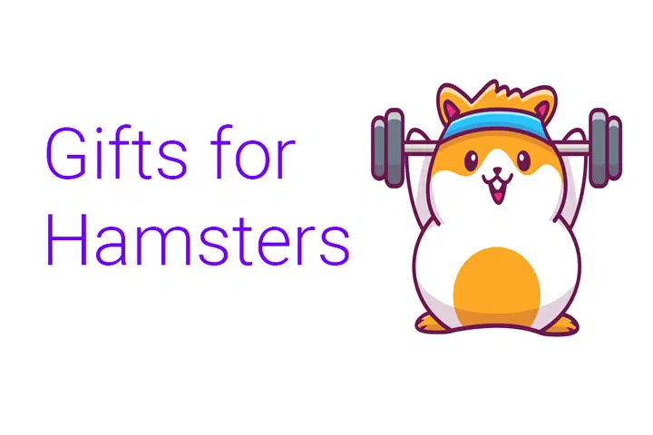 Gifts for Hamsters