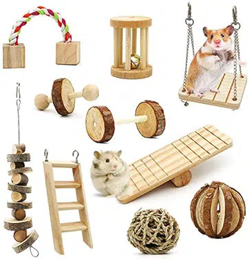 Hamster Chew Toys and Exercise Set