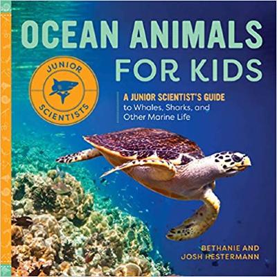 Ocean Animals for Kids Book