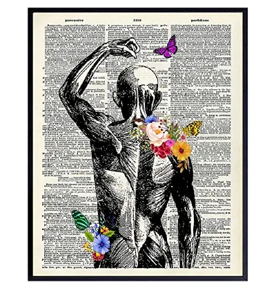 Muscles Anatomy Home Decor