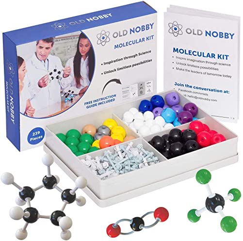 Organic Chemistry Model Kit (239 pc)
